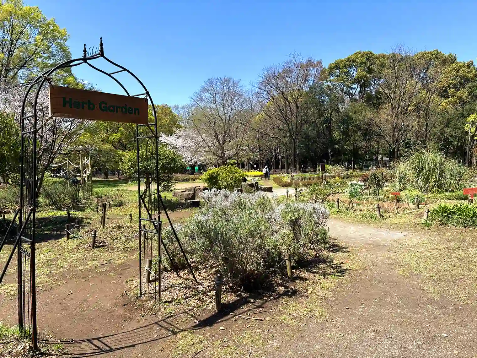 Herb Garden