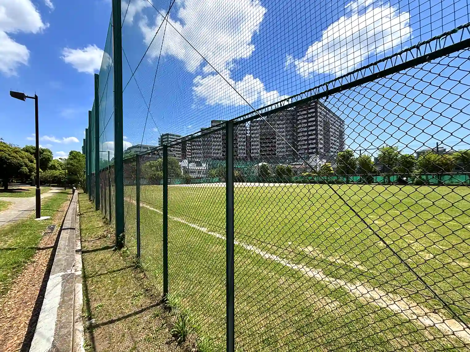 野球場（C地区）