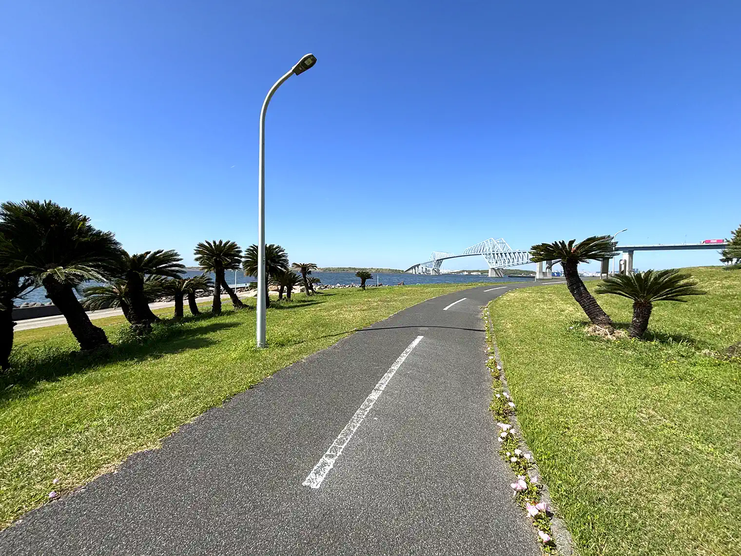 サイクリングコース（若洲海浜公園）