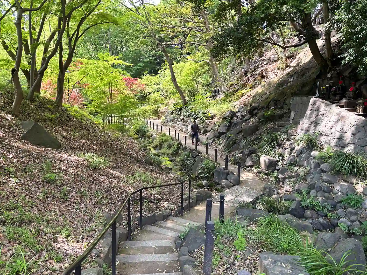 もみじ谷へ降りる階段（19号地）