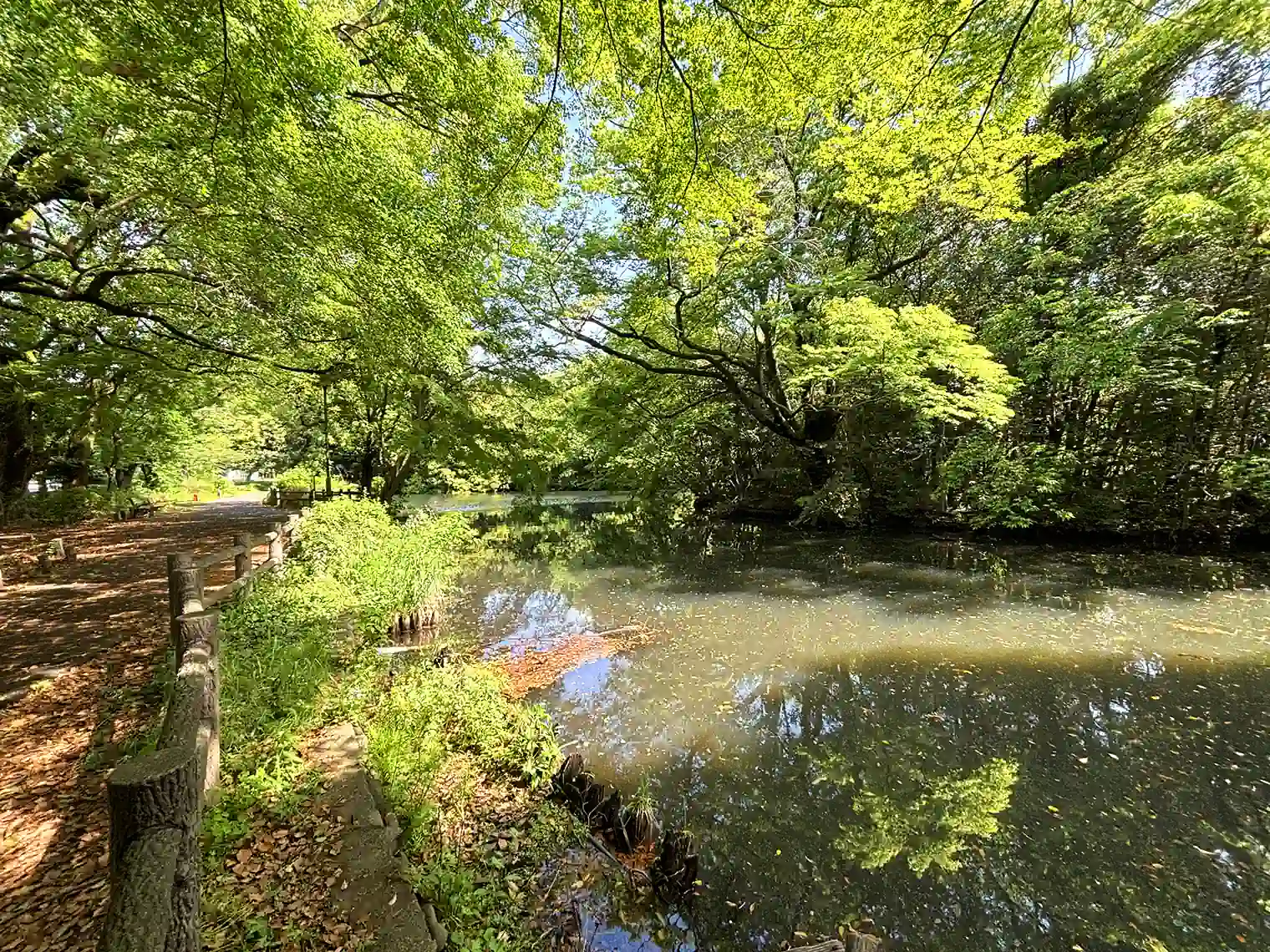 和田堀池