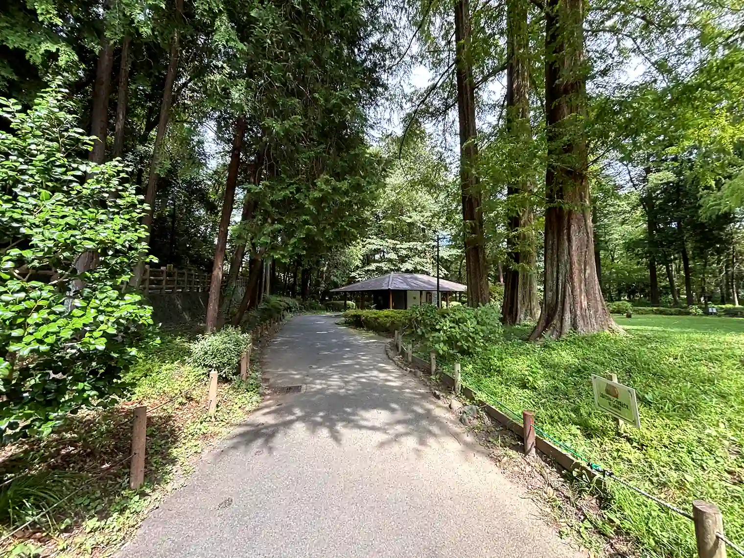 休憩所へ向かう遊歩道