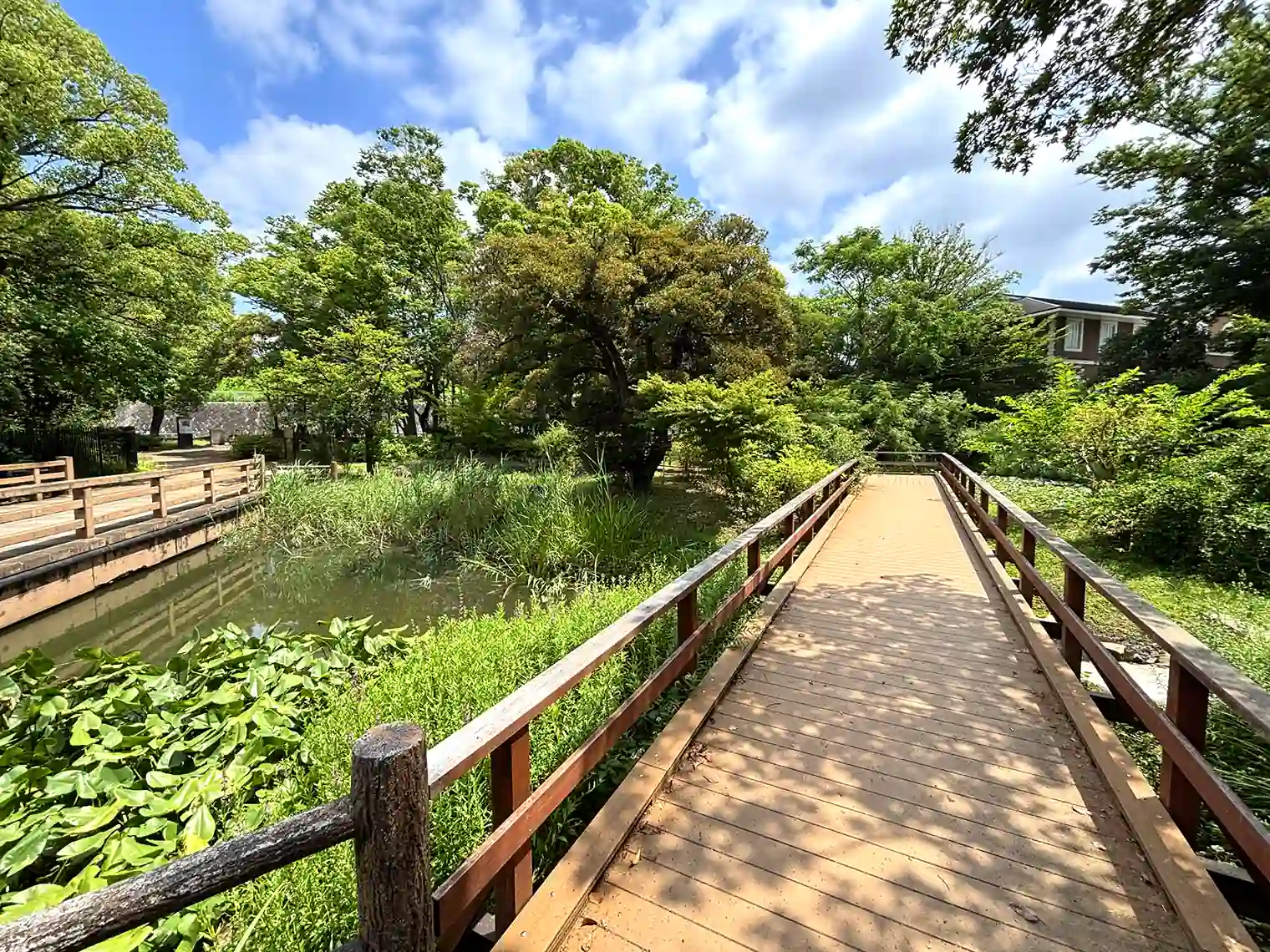 水生植物園