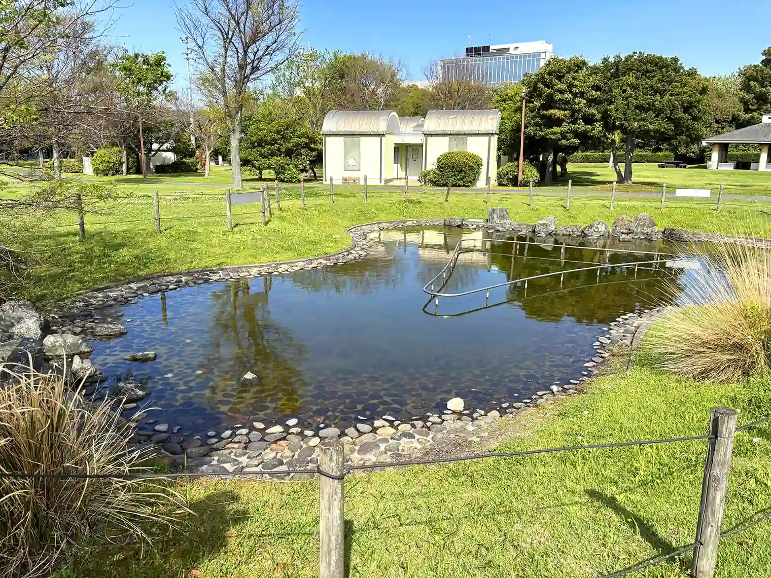 キャンプ場内の人工池（若洲公園）