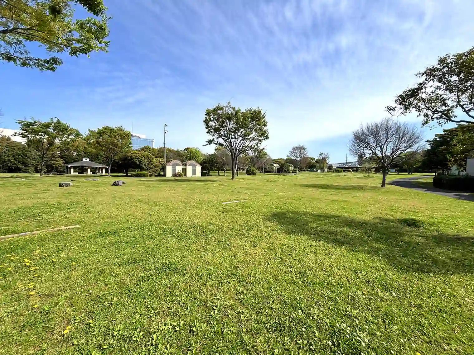 キャンプ場（若洲公園）