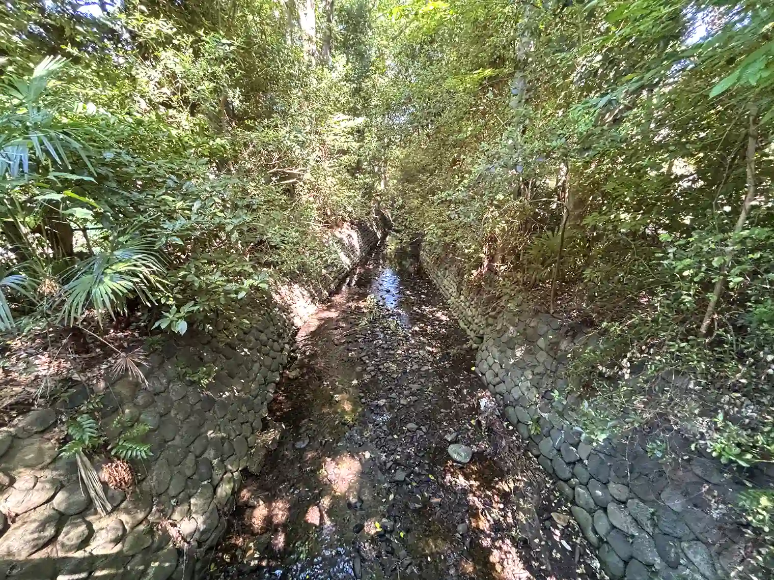 谷戸川