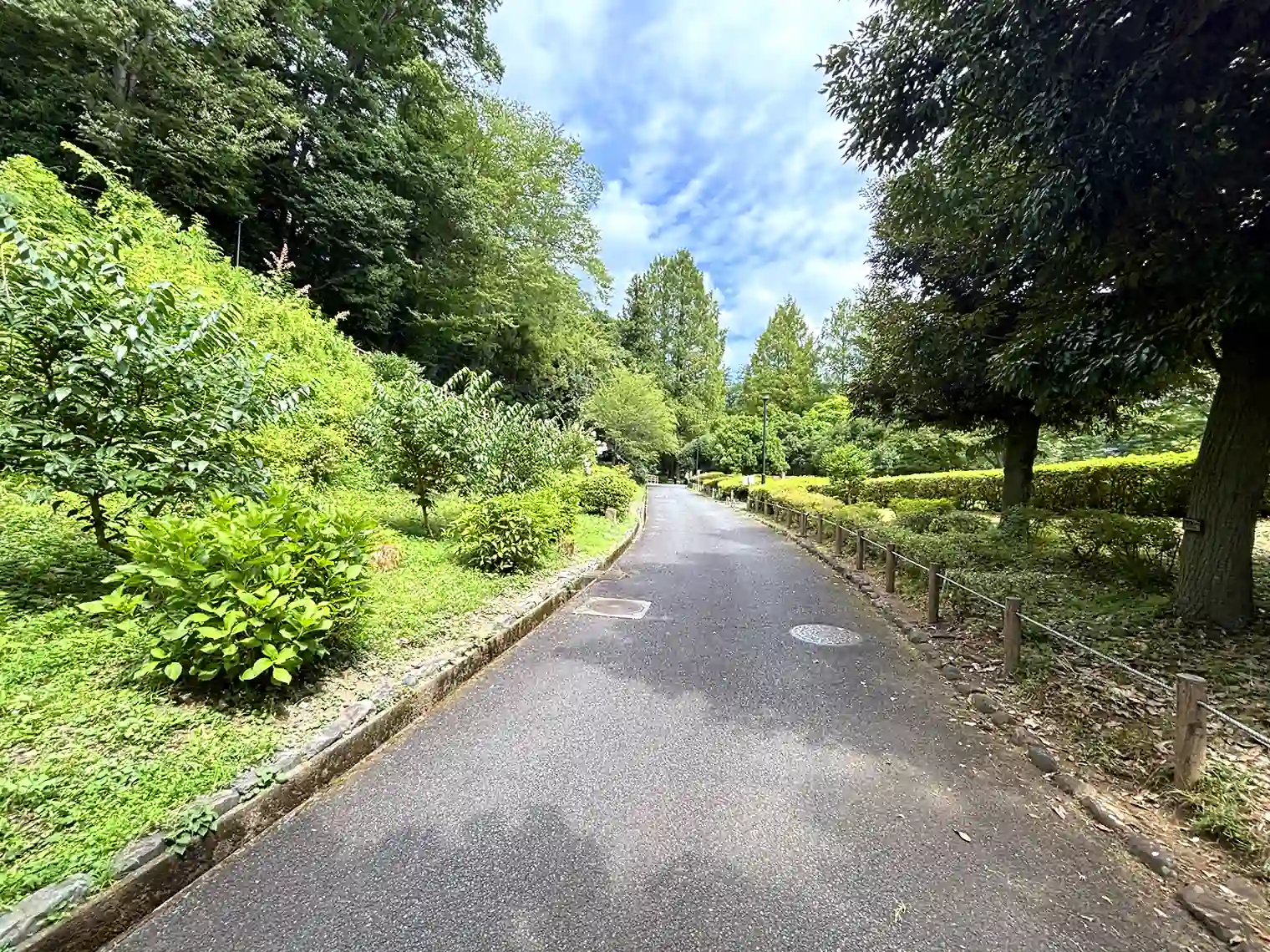 遊歩道