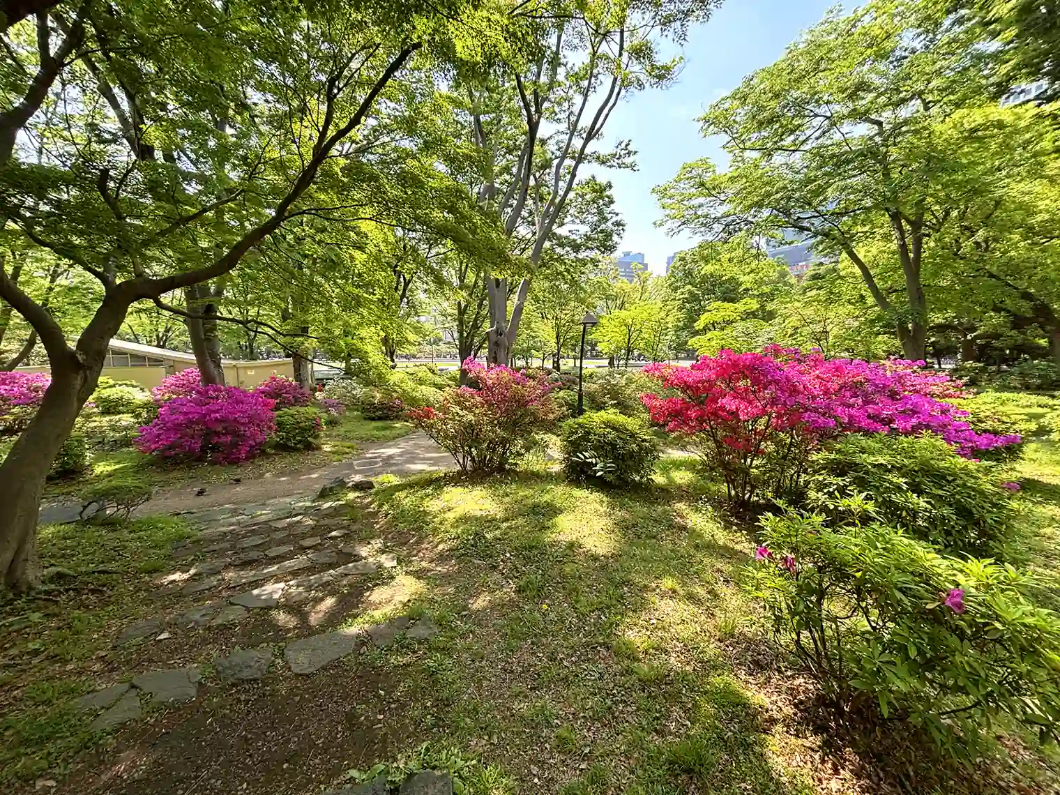 ツツジ山