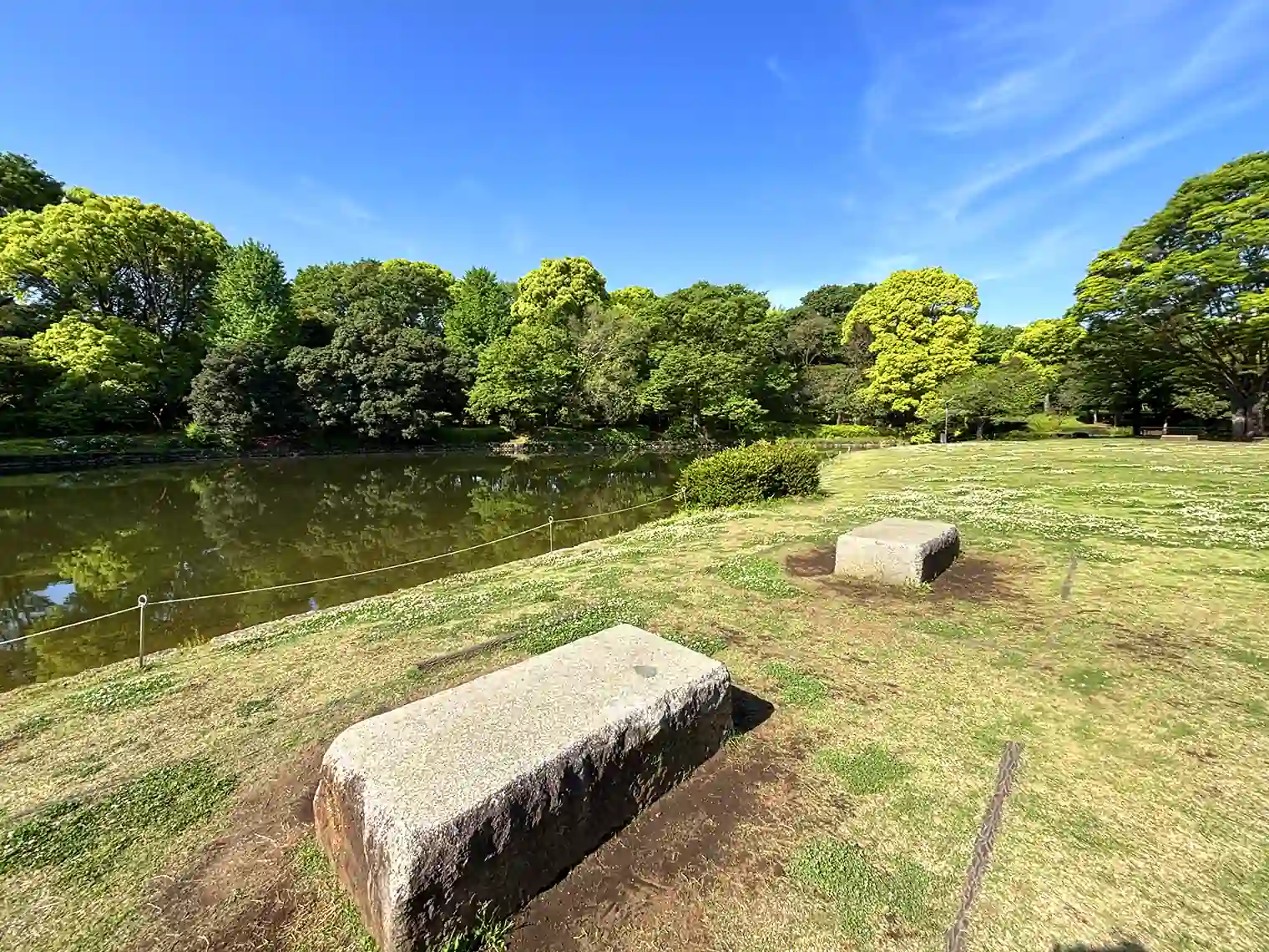 池の横の広場