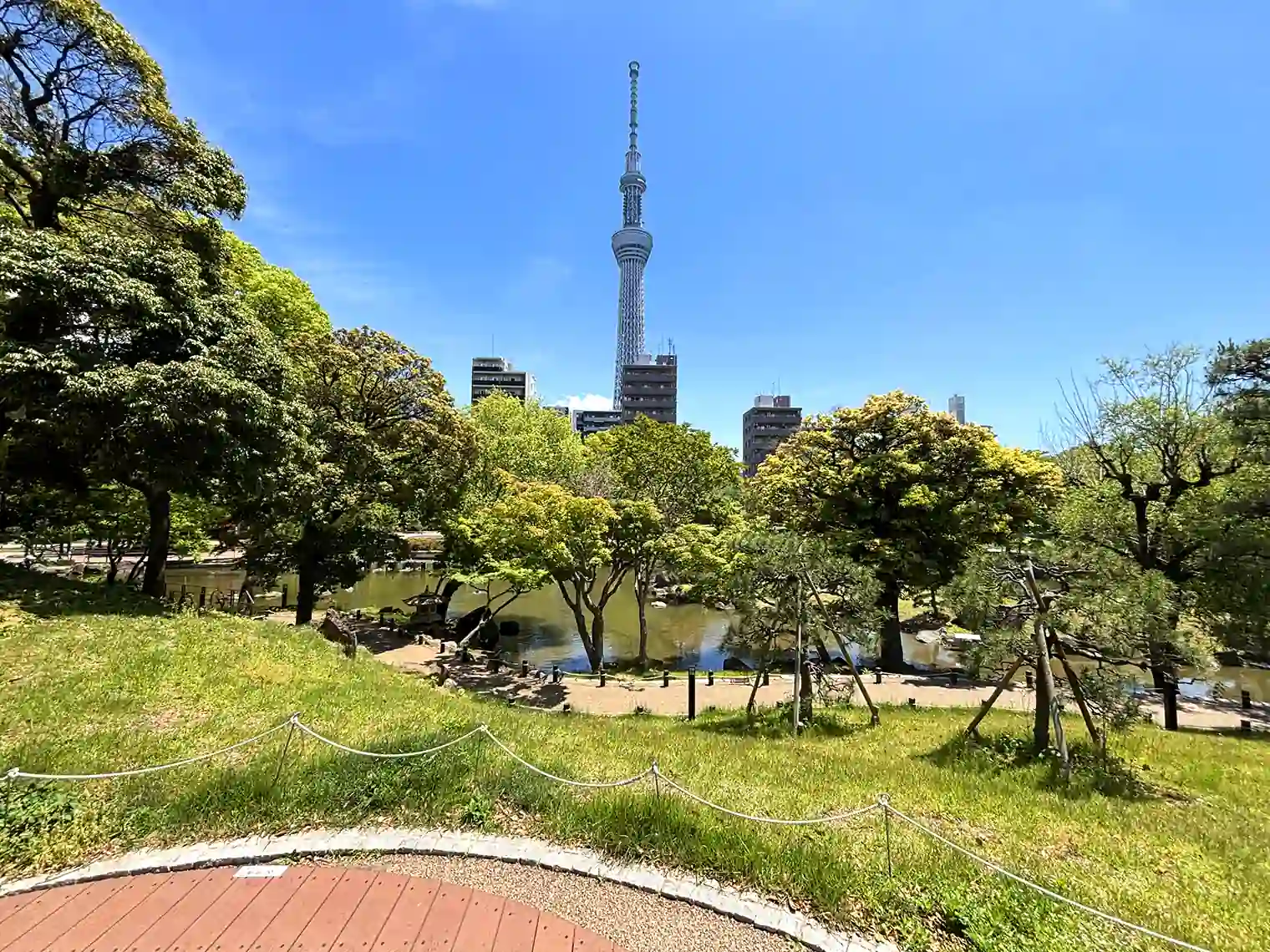 展望台から眺めるスカイツリー