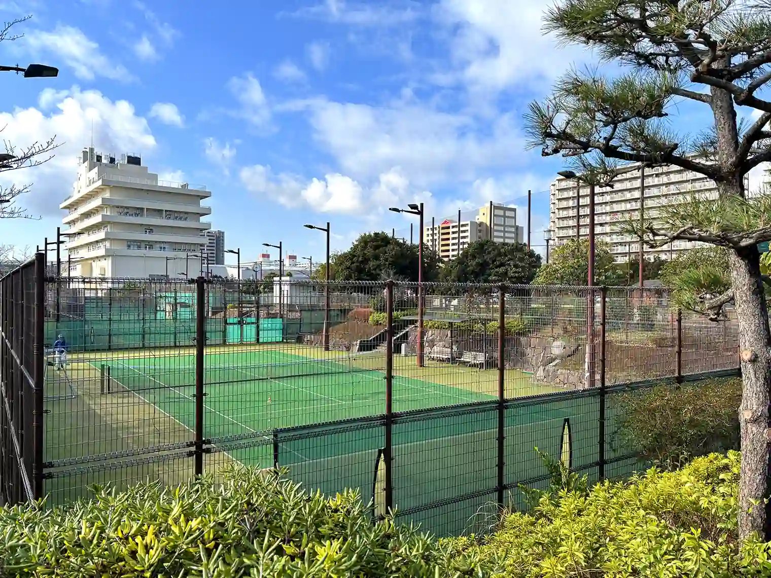 テニスコート（スポーツ公園エリア）