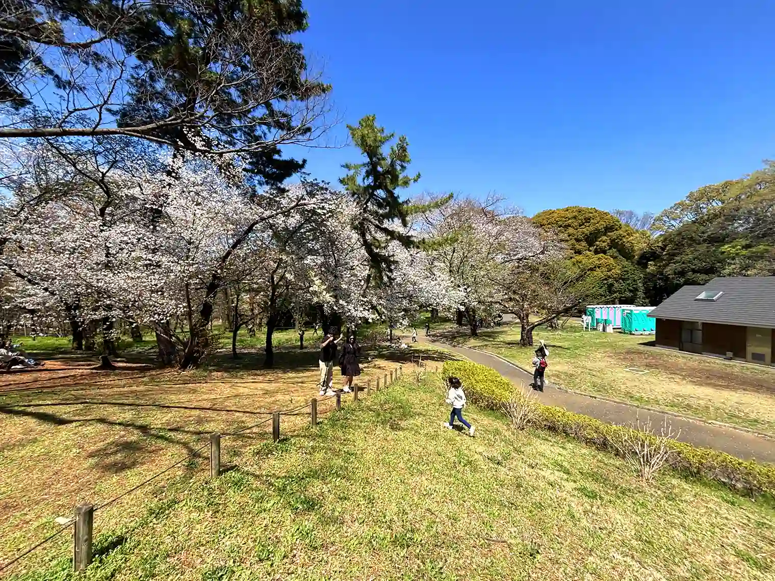丘の広場