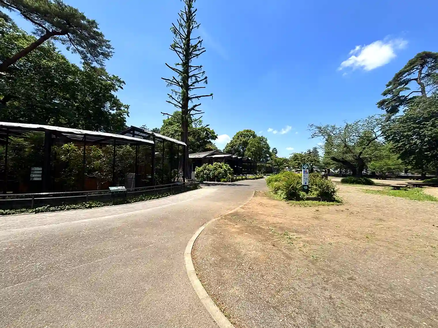 動物園（本園）内