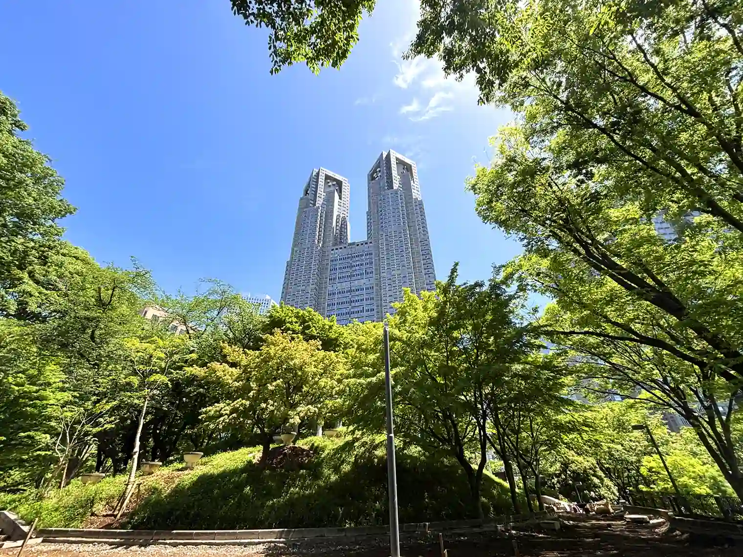 公園から見える東京都庁