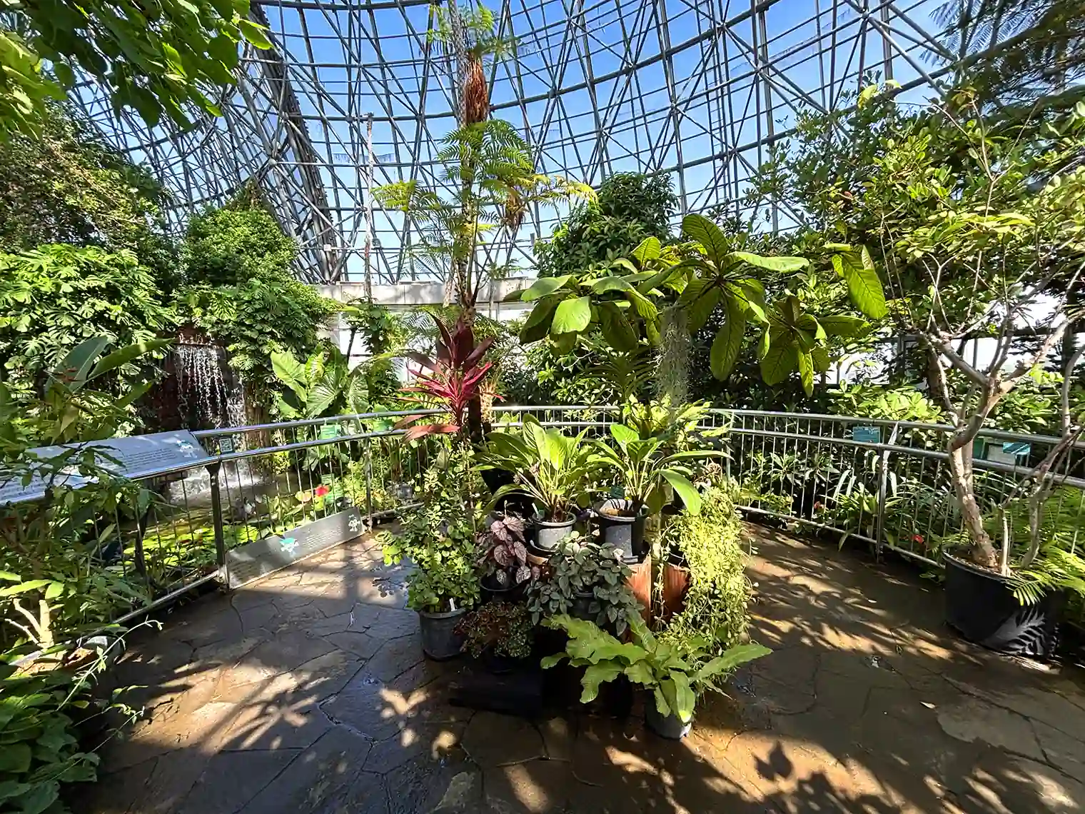 夢の島熱帯植物館内