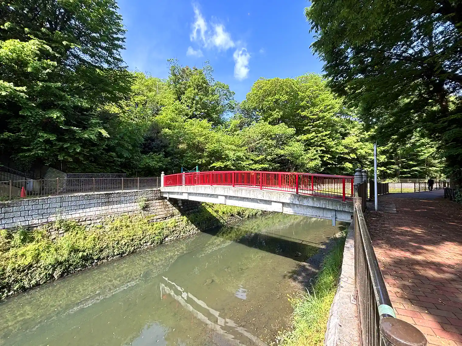 善福寺川と八幡橋