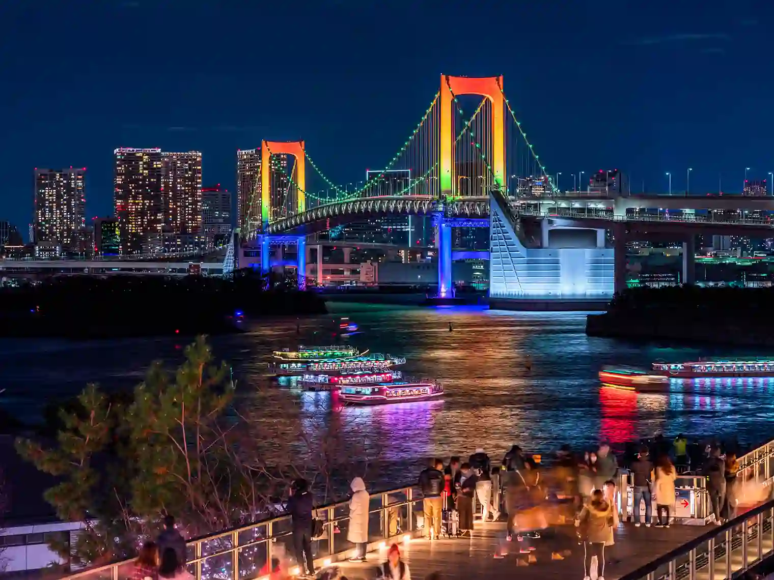 展望デッキから見るレインボーブリッジの夜景［PIXTA画像］