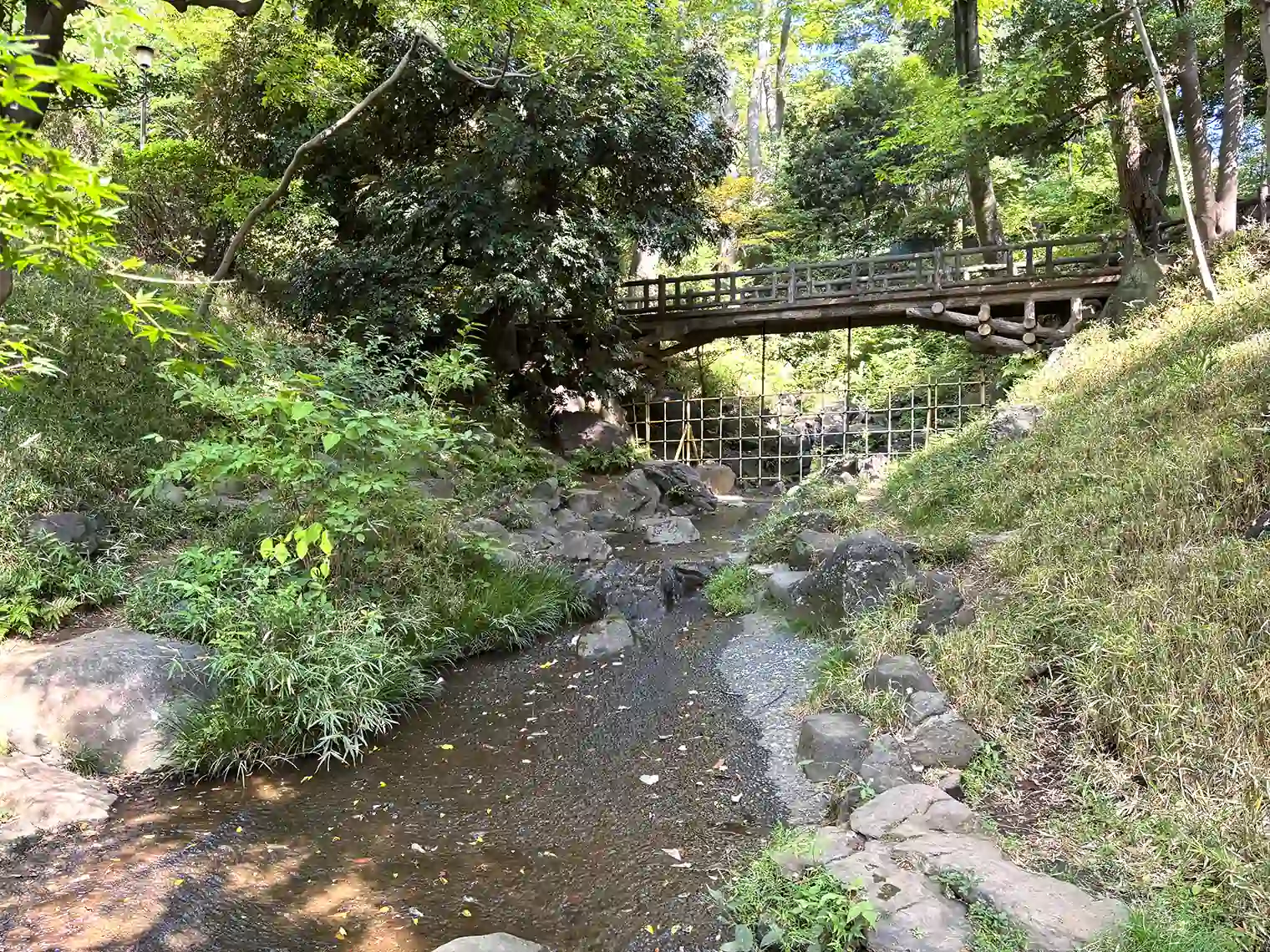 滝