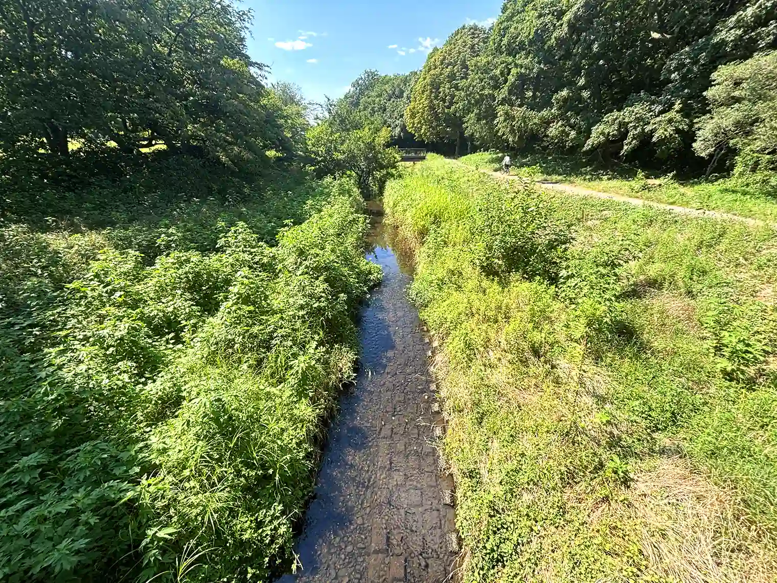 野川
