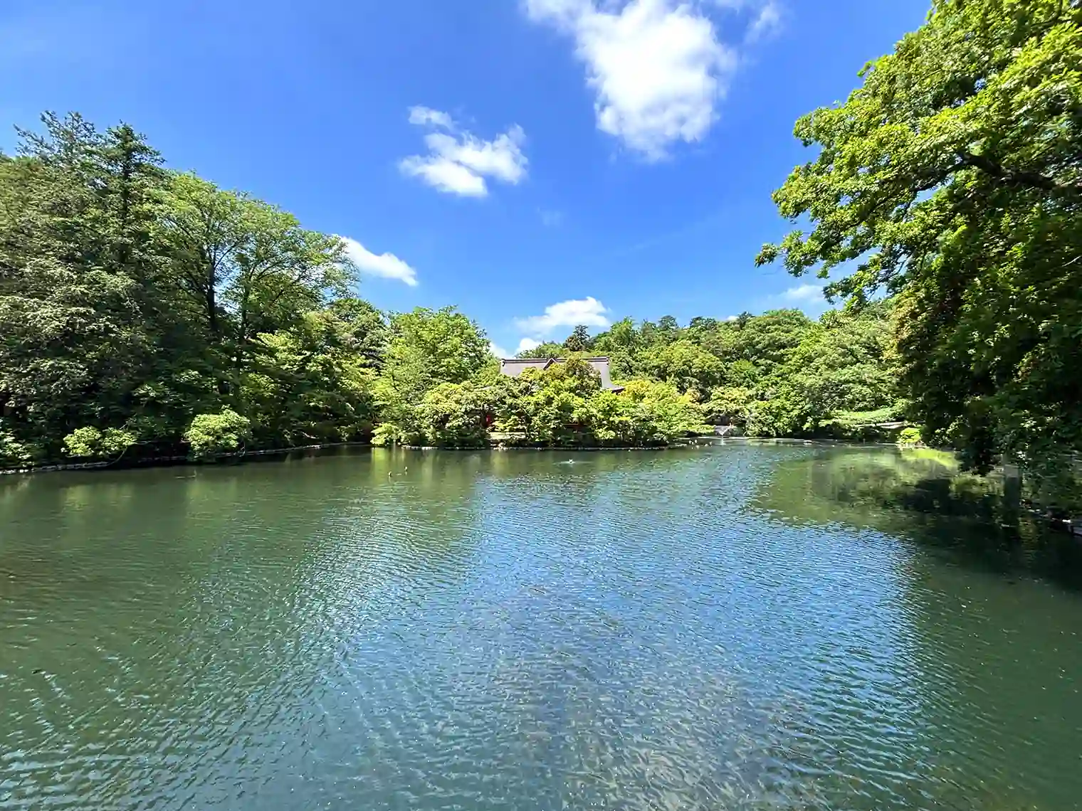 井の頭池