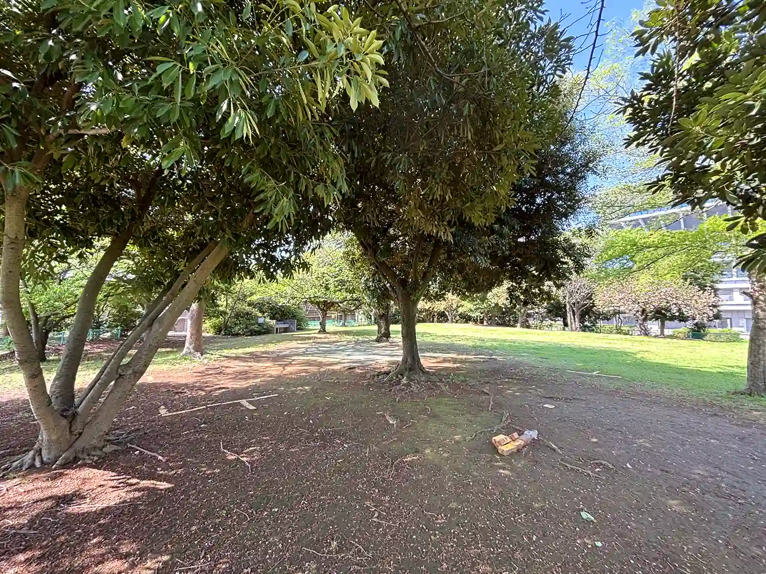 バーベキュー広場