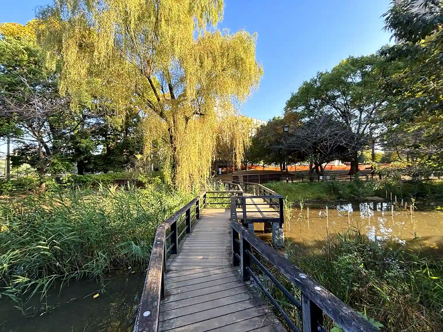 上池のせせらぎにかかる木橋