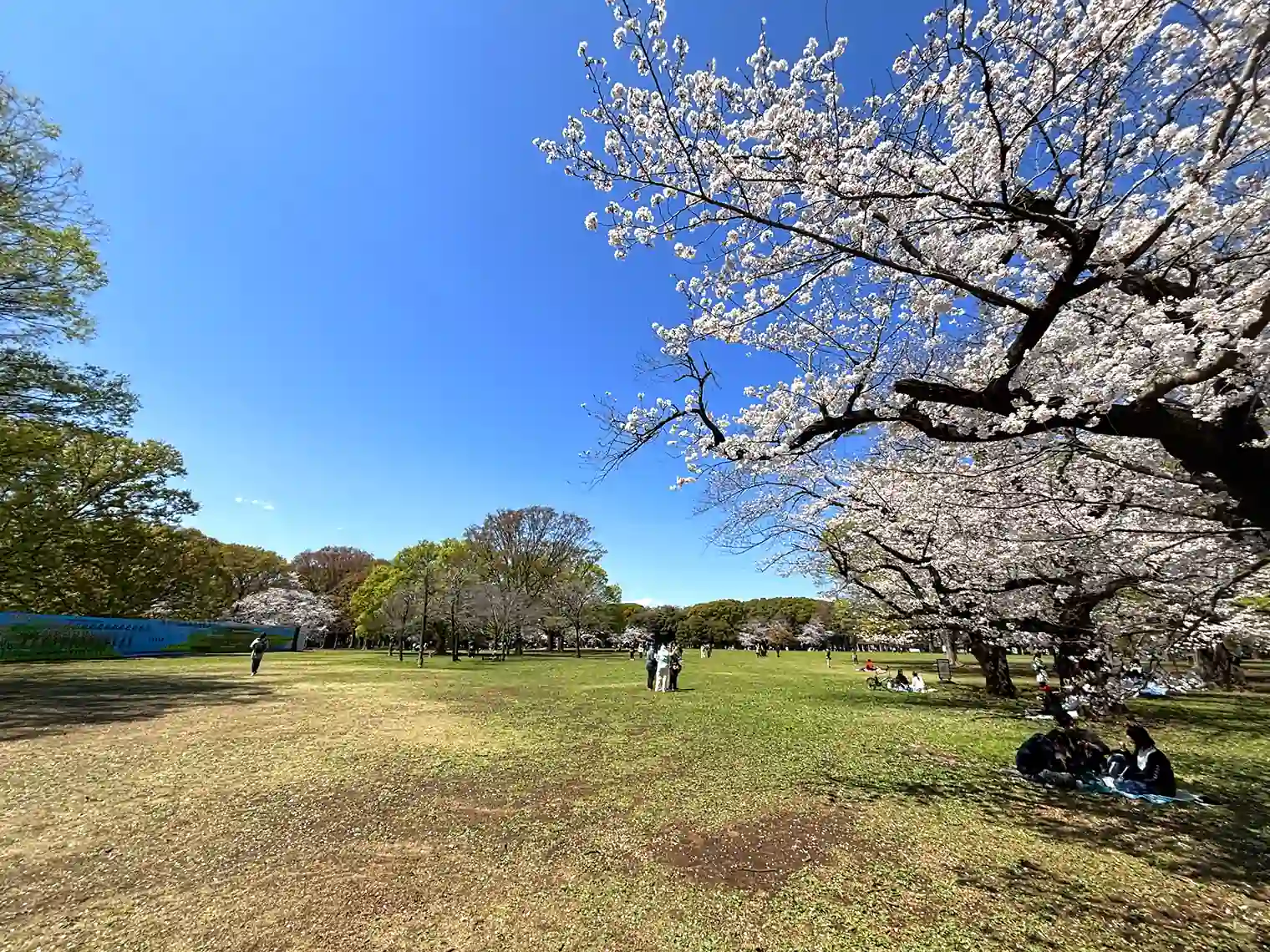 中央広場