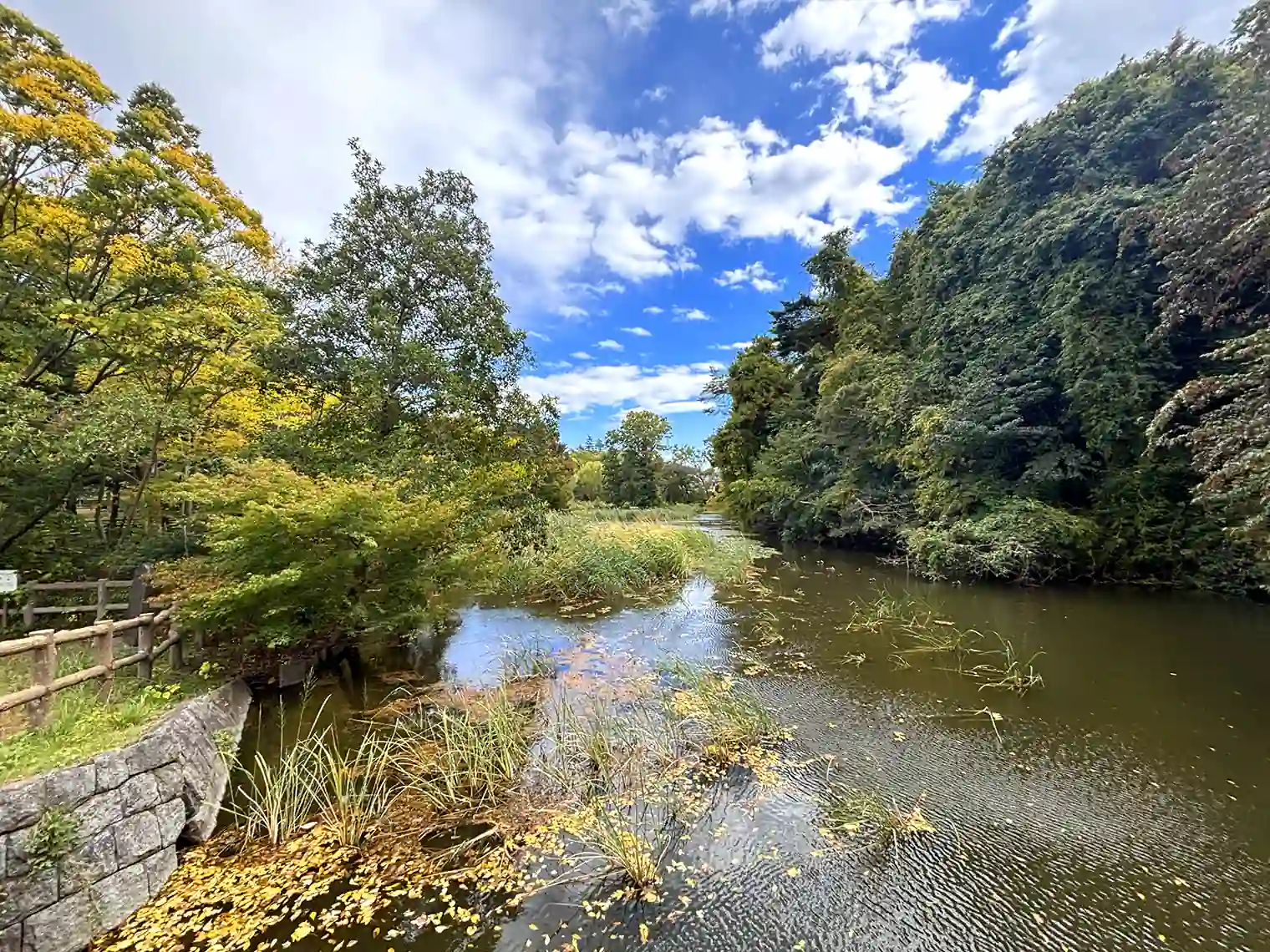三宝寺池