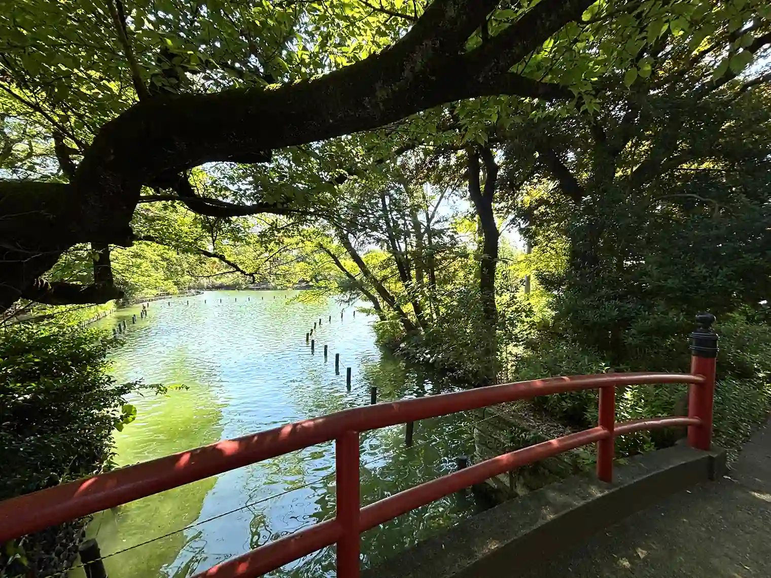 弁天島に架かる橋