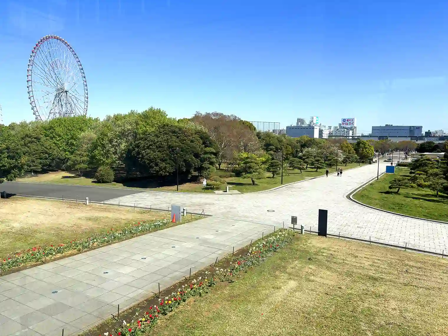 葛西臨海公園駅からクリスタルビューを結ぶメインストリート