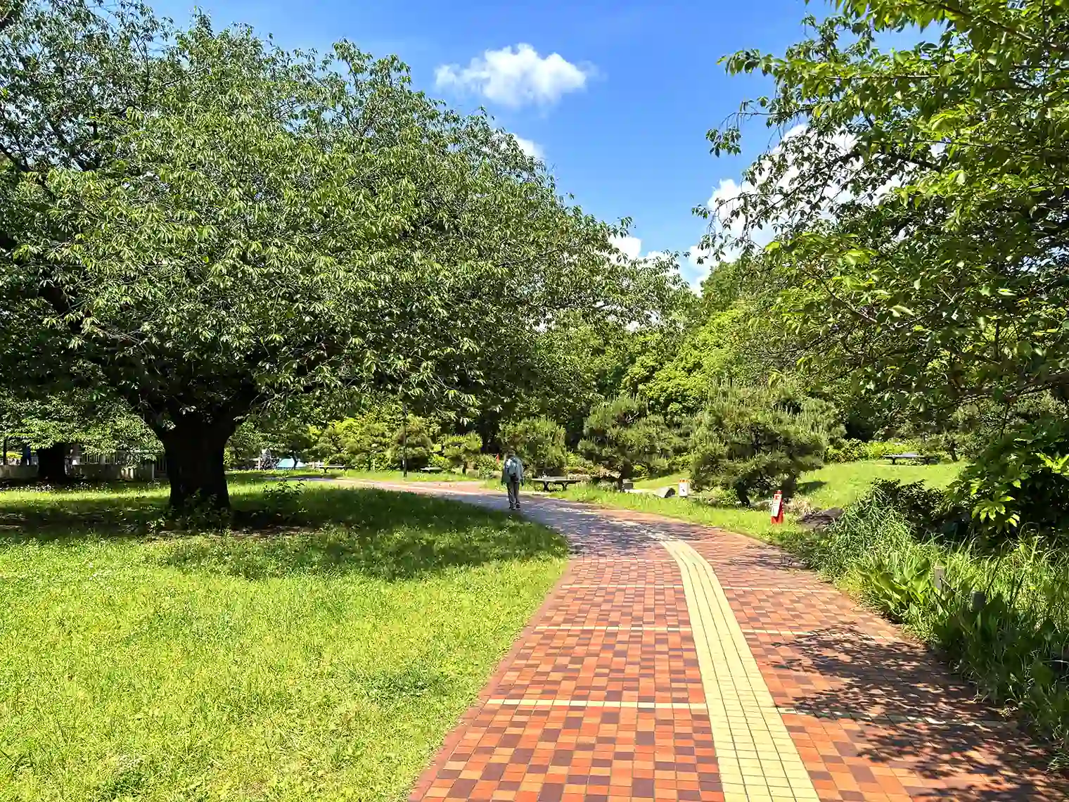 遊歩道（C地区）