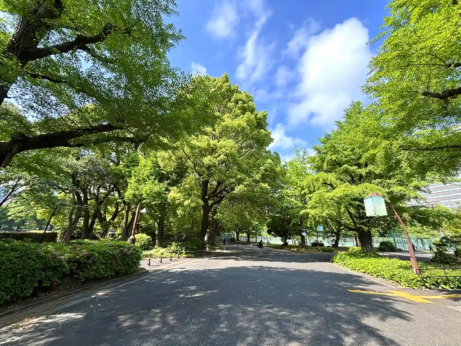 遊歩道