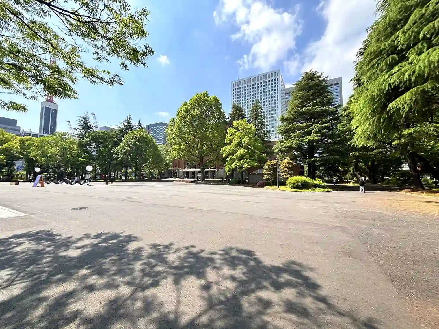 にれのき広場