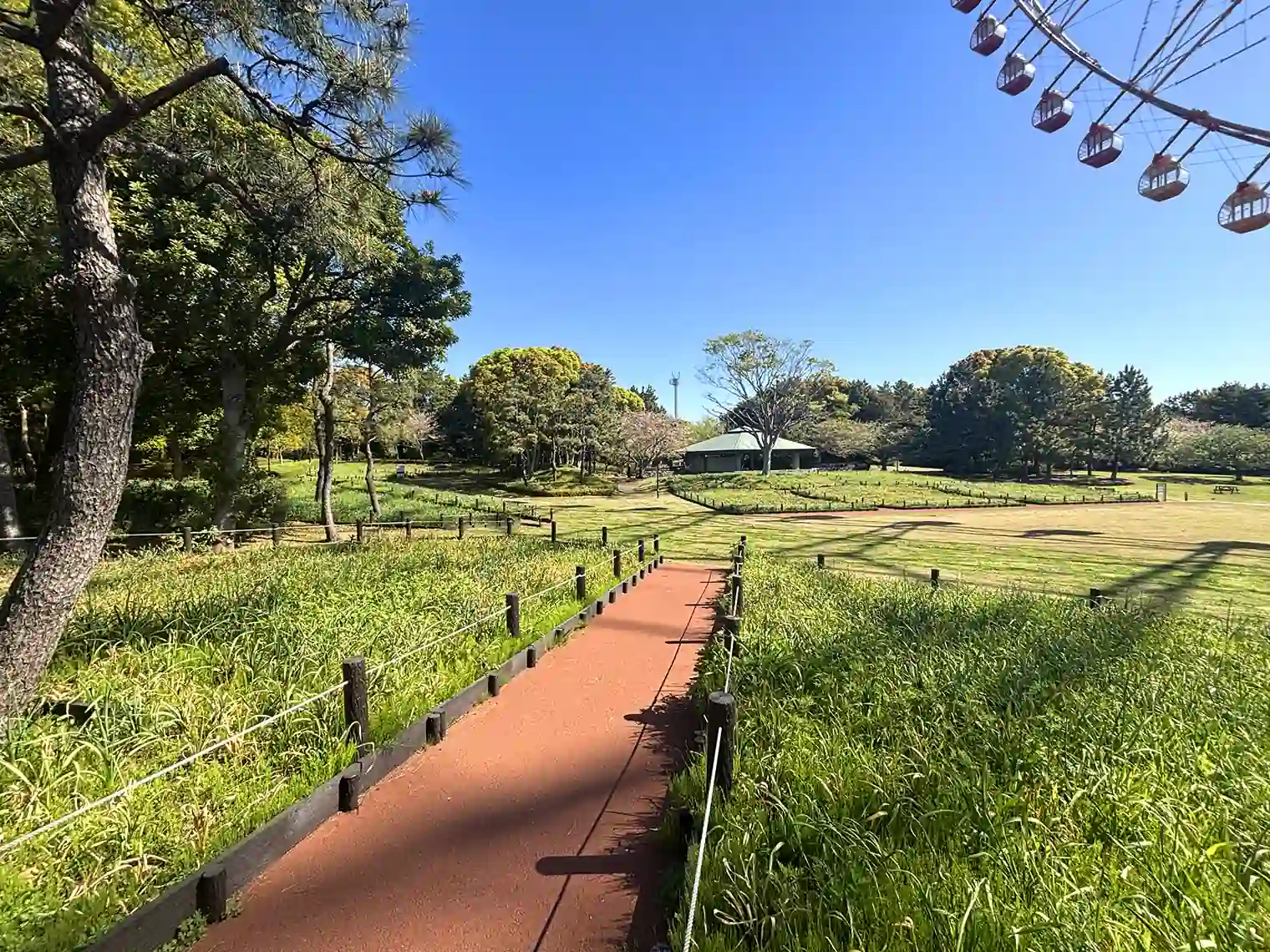 芝生広場