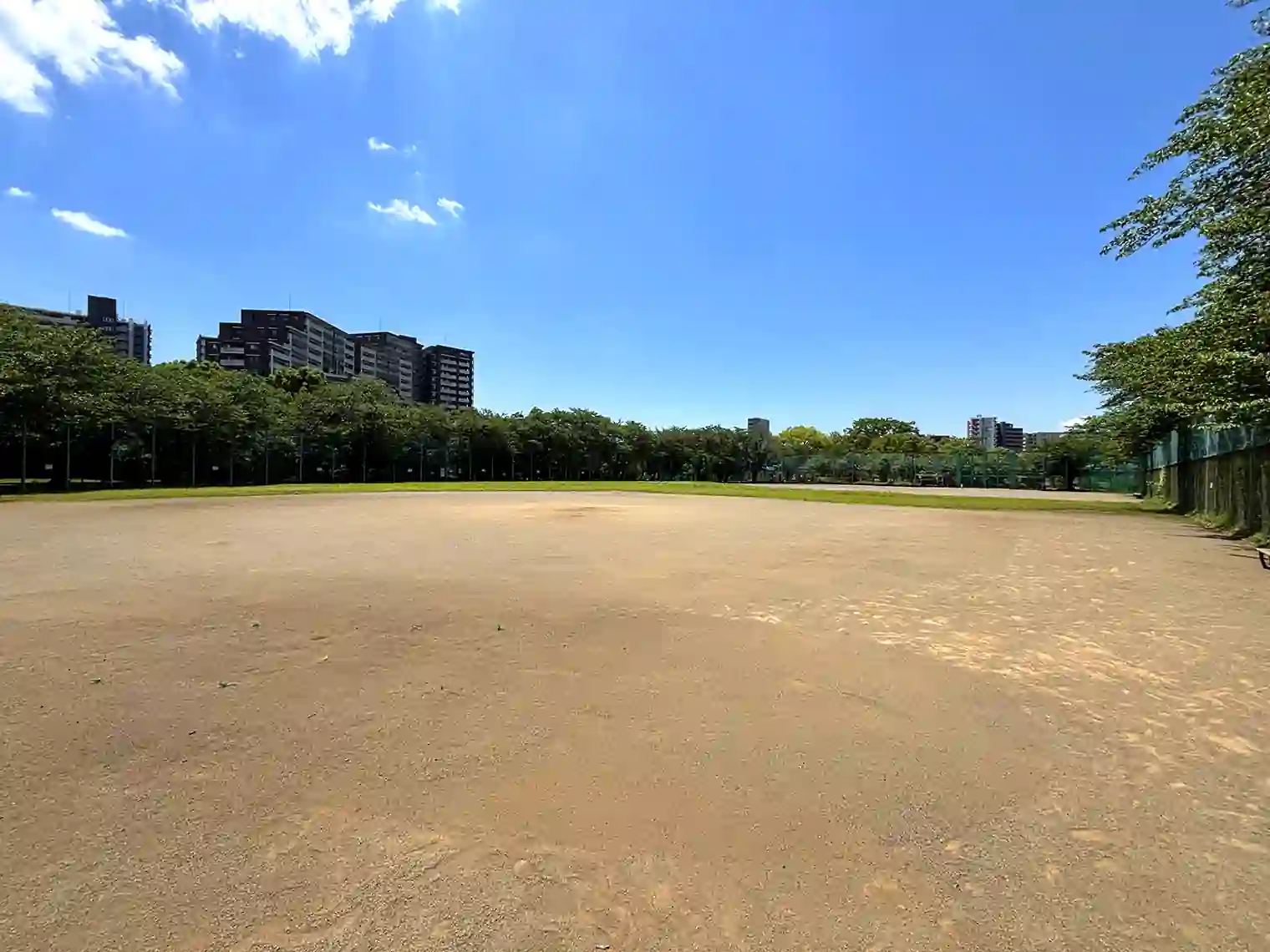 多目的広場（C地区）