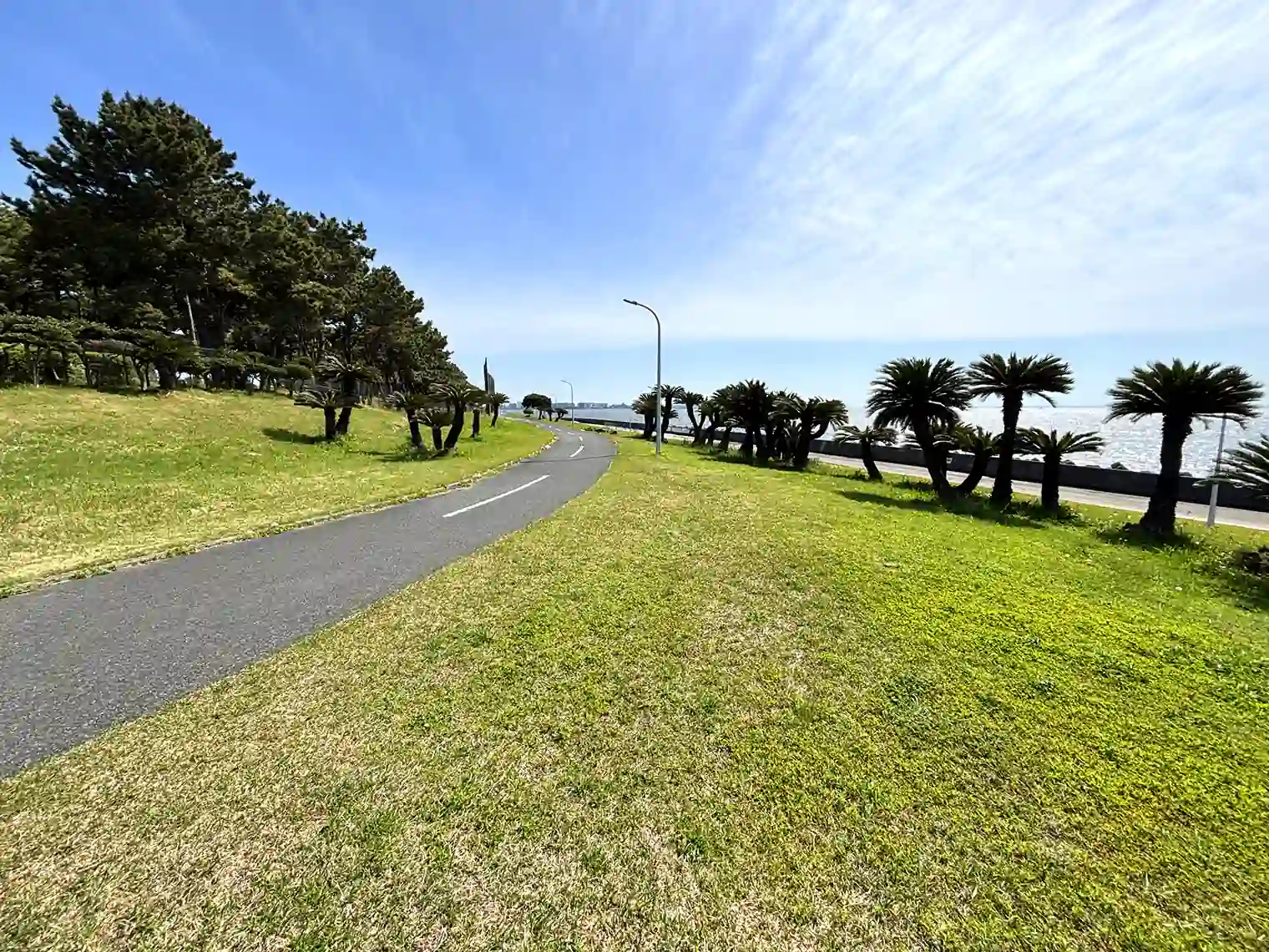 サイクリングコース（若洲海浜公園）