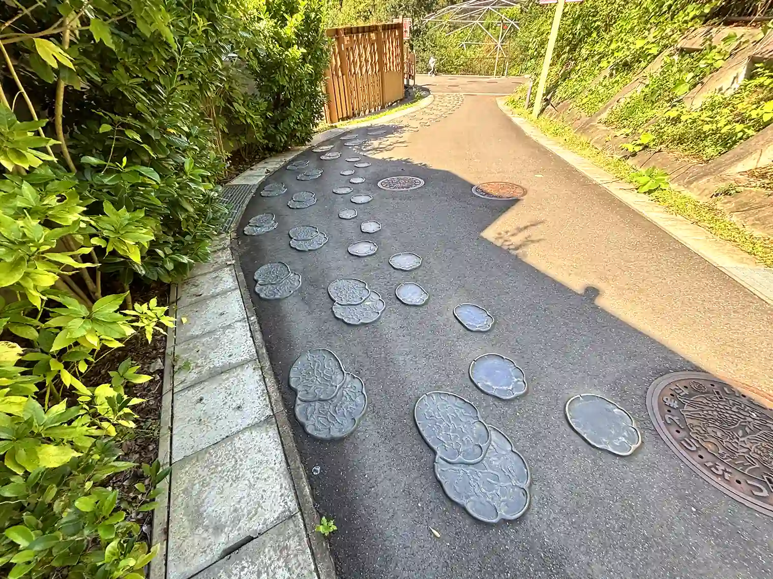 ゾウの足跡