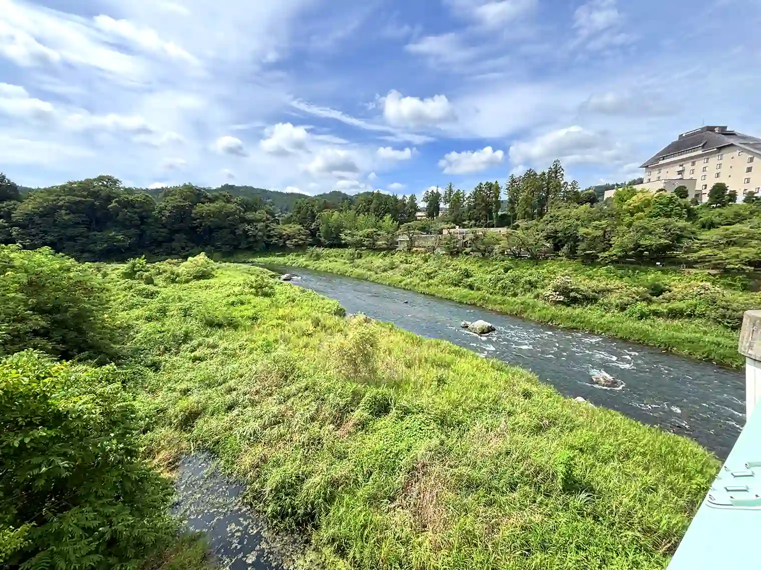 鮎美橋から見る多摩川