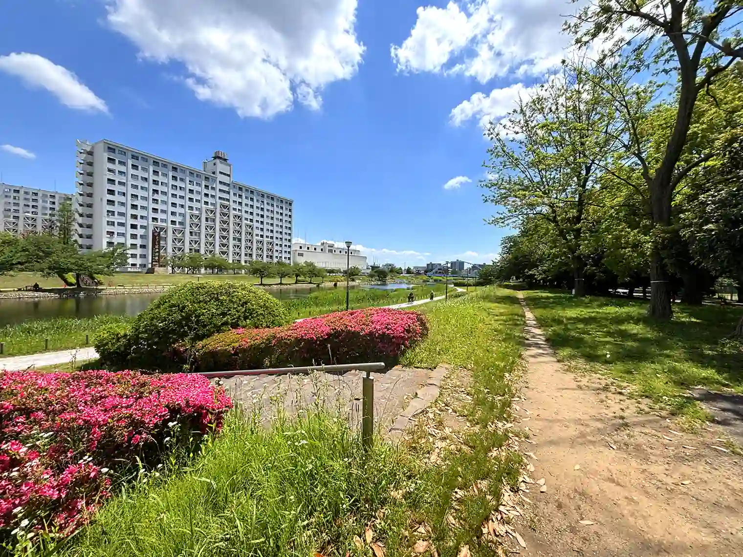 旧中川沿いの遊歩道（B地区）