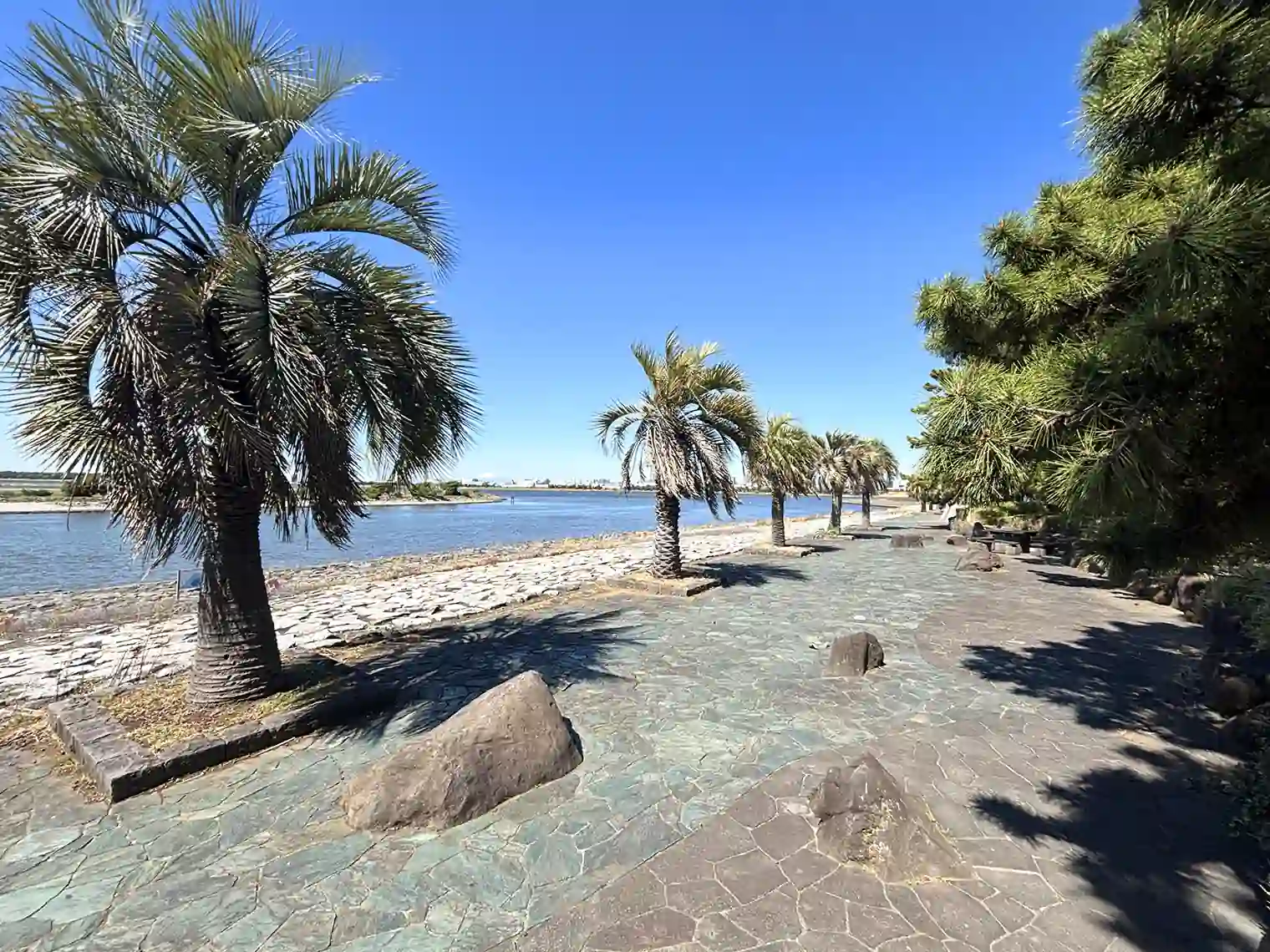 南の島を連想させる遊歩道（芦ヶ池前）