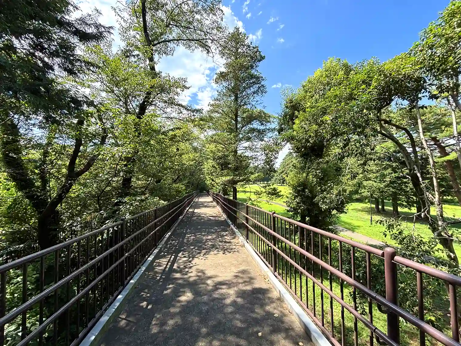 自然観察園へ向かうスロープ