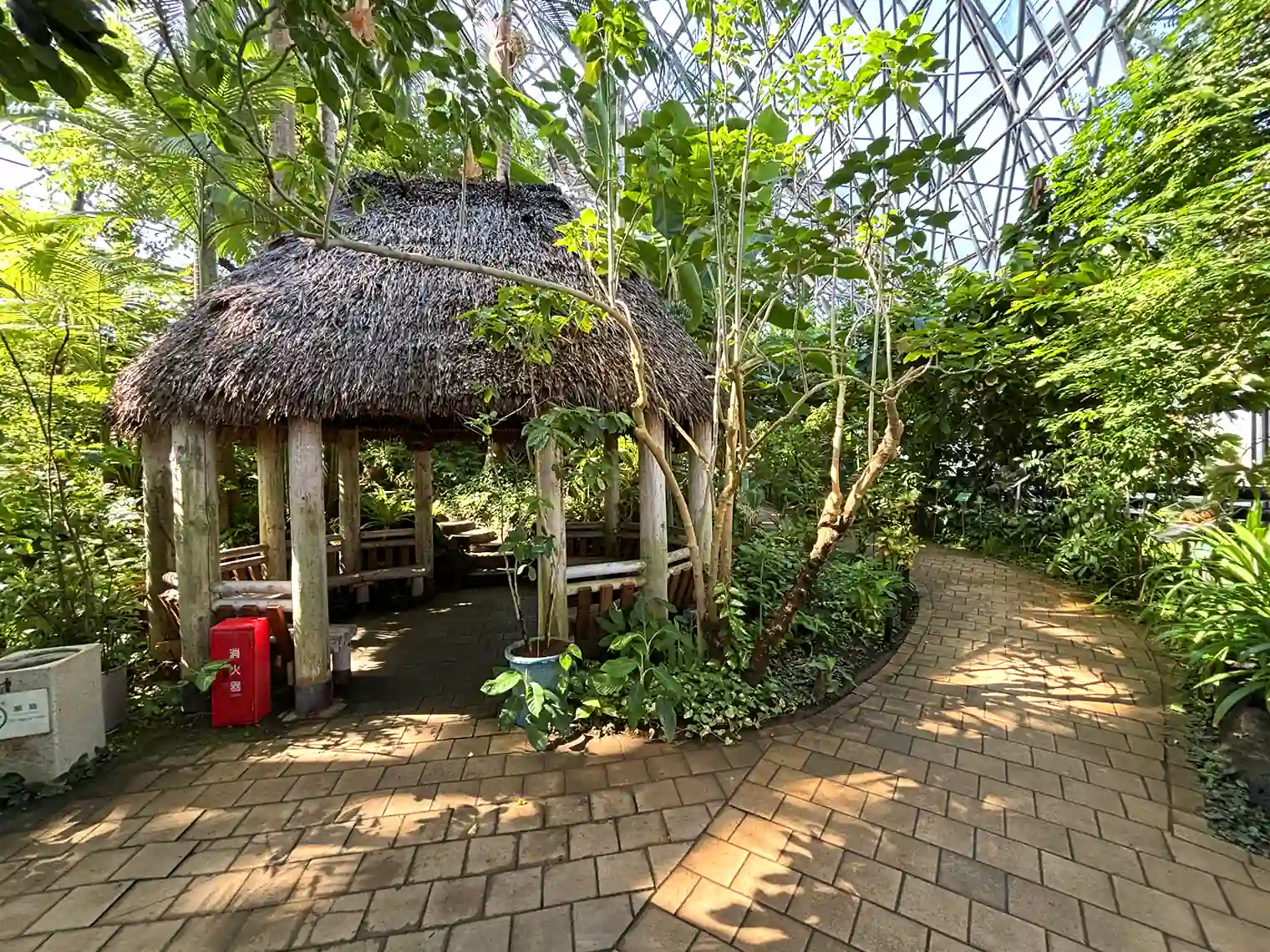 夢の島熱帯植物館内