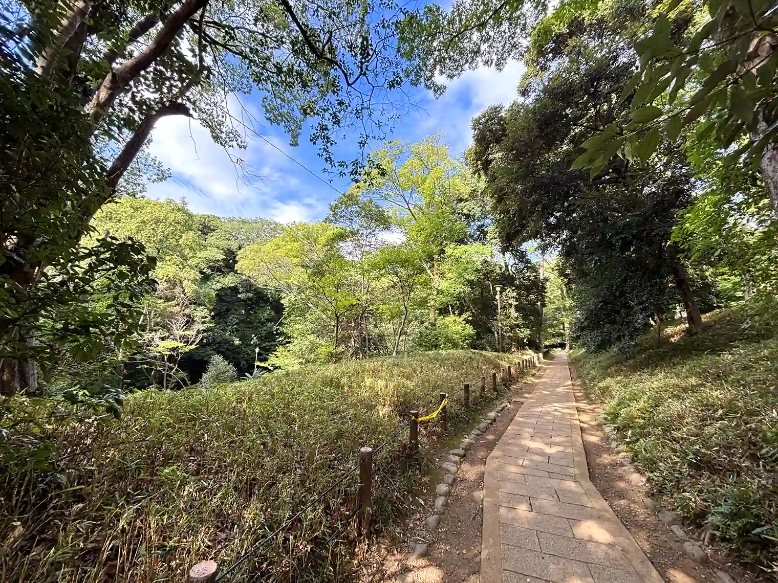 散策路