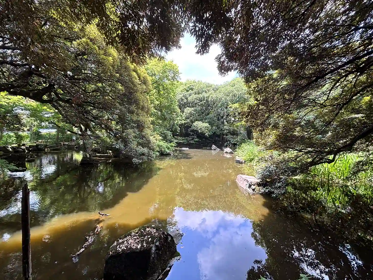 池