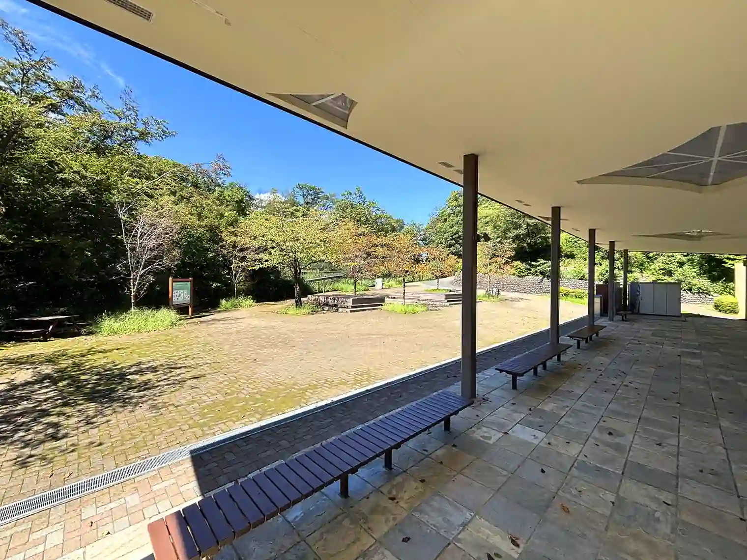 さくら広場