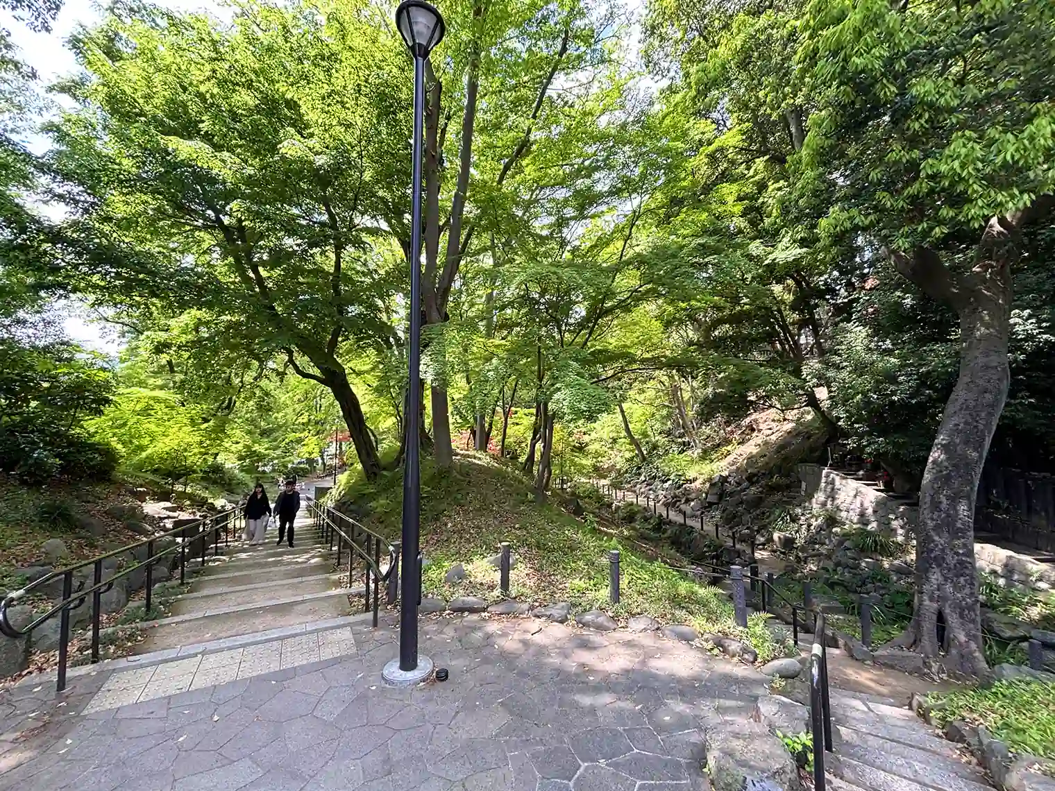 もみじ谷へ降りる階段（19号地）