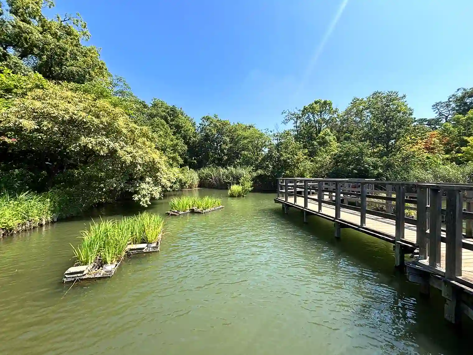 水生植物園