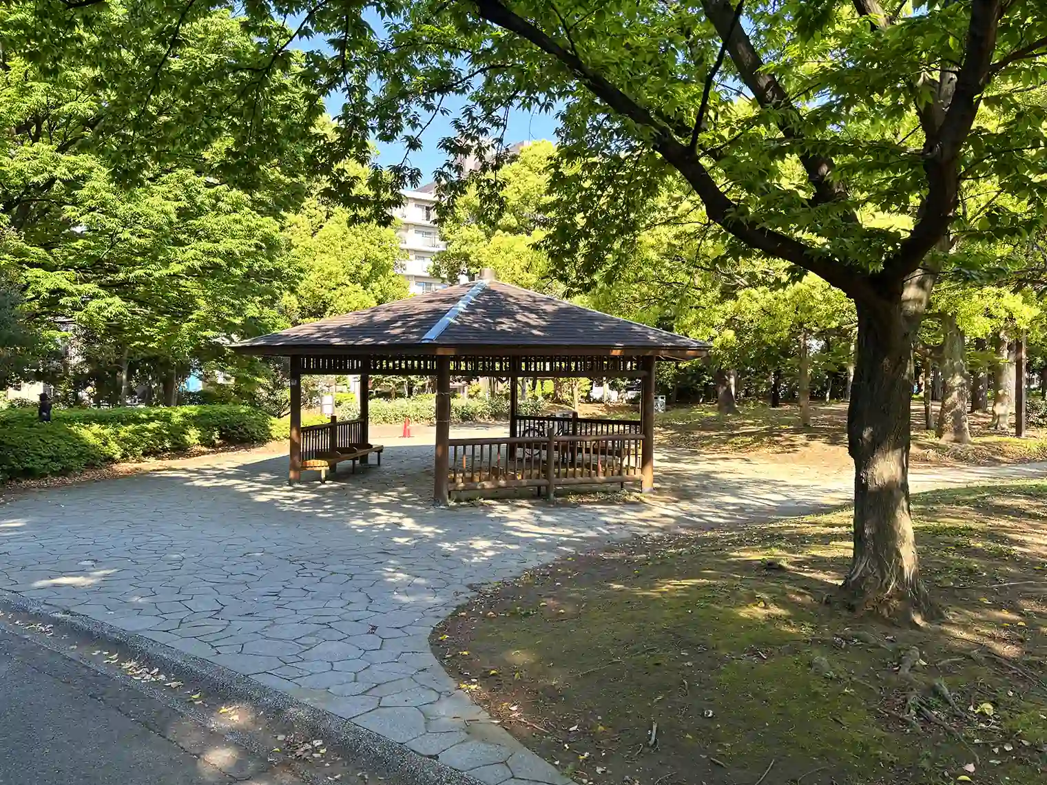 木場公園（富島橋口付近）