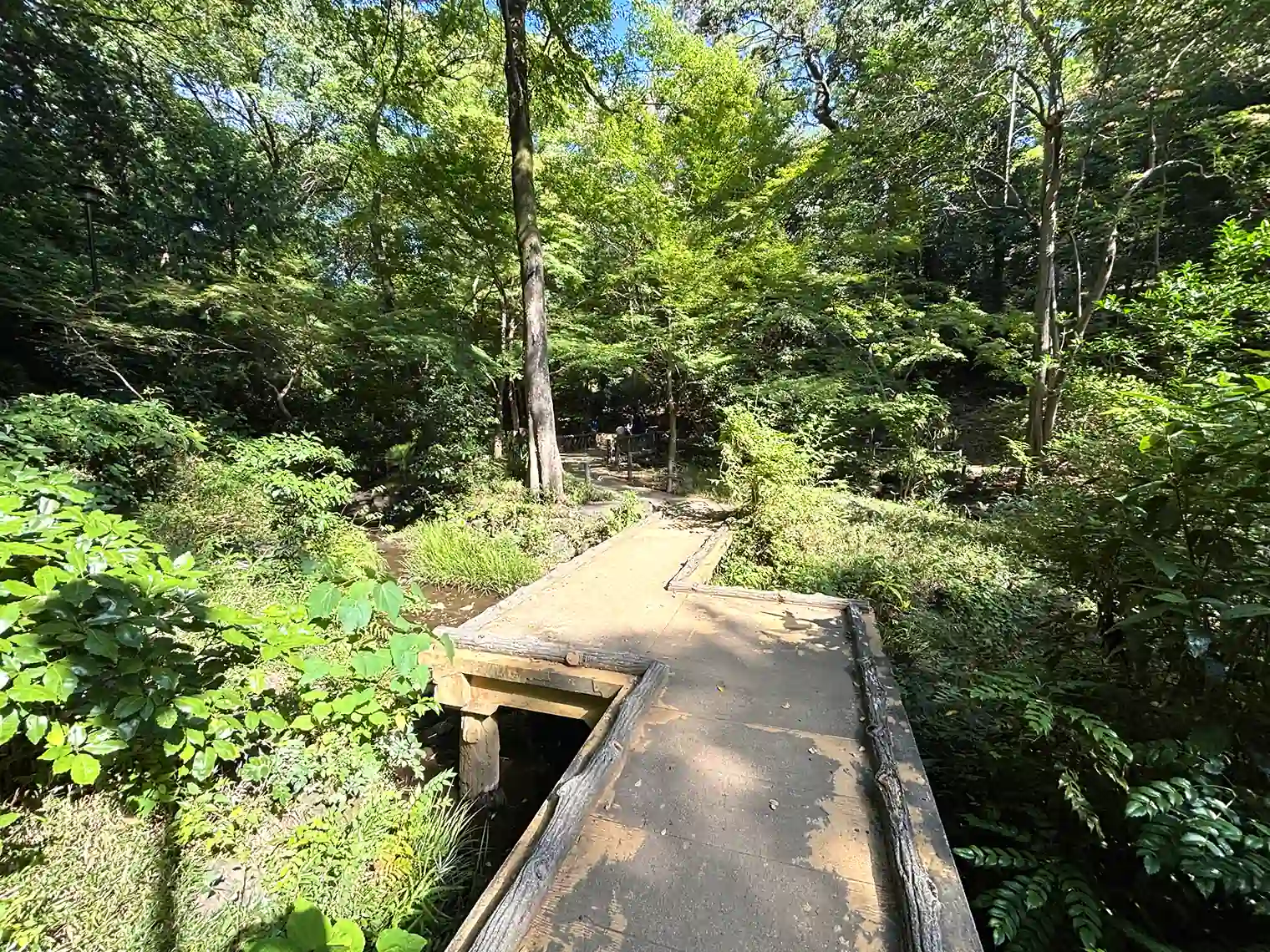散策路