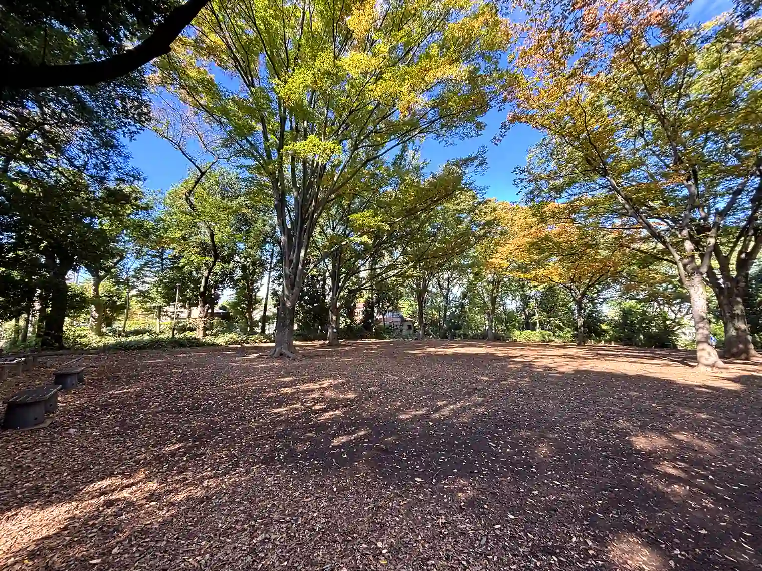 くつろぎ広場